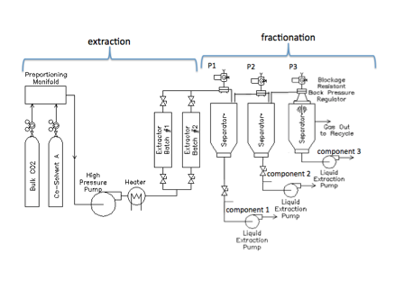 supercritical fluid extraction